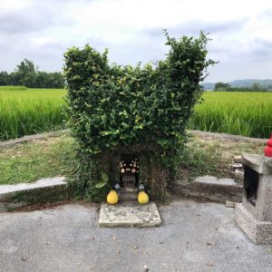 苗栗縣銅鑼鄉－微光書旅提供