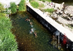 24節氣篆刻藝術與地方之美-大暑