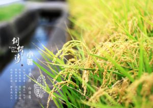 24節氣篆刻藝術與地方之美-小暑