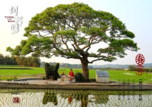 24節氣篆刻藝術與地方之美-春分