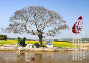 圖 地方創生 24節氣系列- 苗栗縣銅鑼灣田心伯公（龍貓伯公）賴世若 /田中小路 攝影  篆刻&設計 司徒長卿