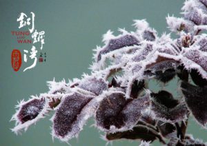 24節氣篆刻藝術與地方之美-霜降