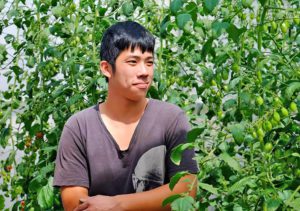 圖 翻拍自阿牛哥溫室蕃茄農場 FB粉絲團
