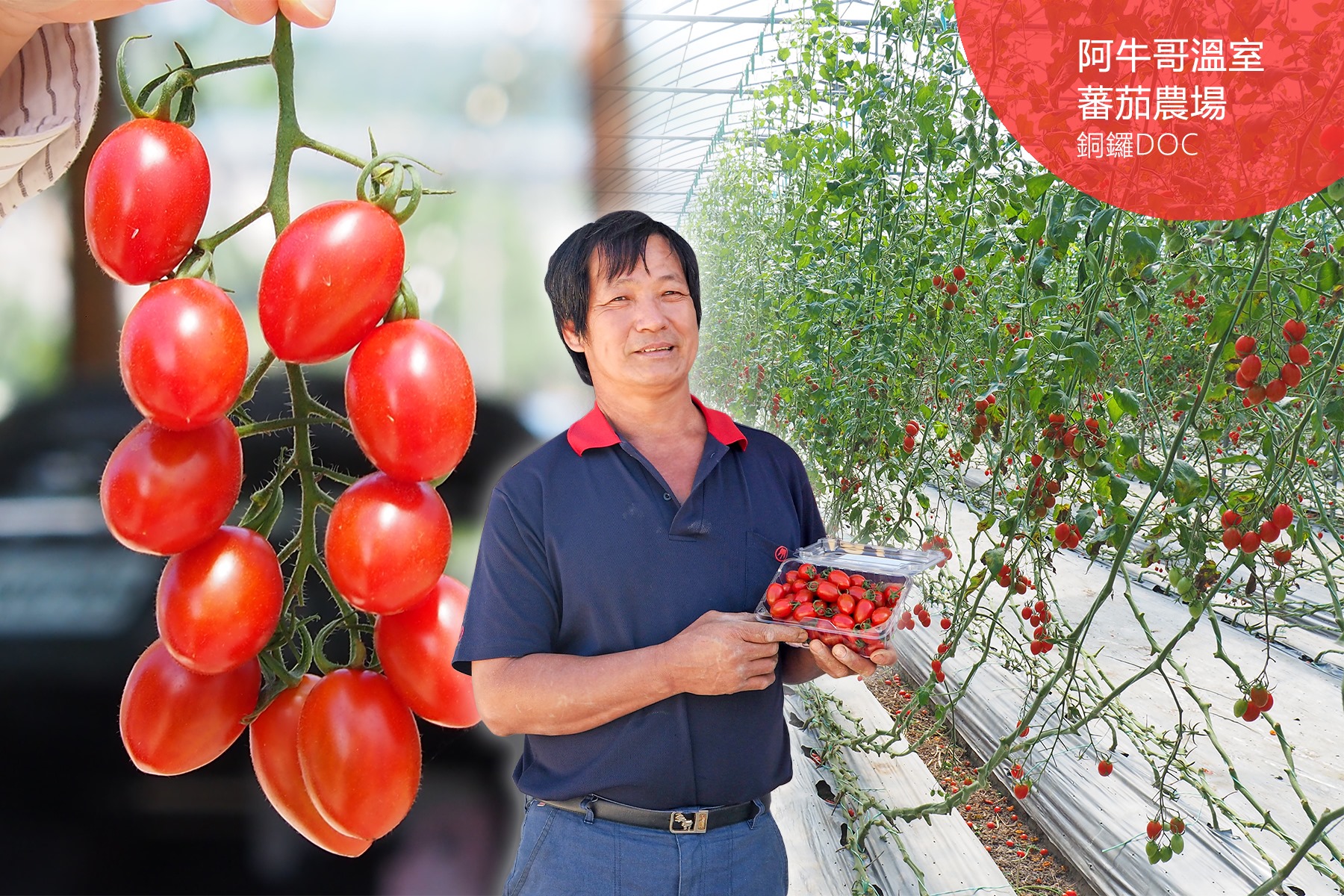 圖 曾喜南的父親 翻拍自阿牛哥溫室蕃茄農場 FB粉絲團