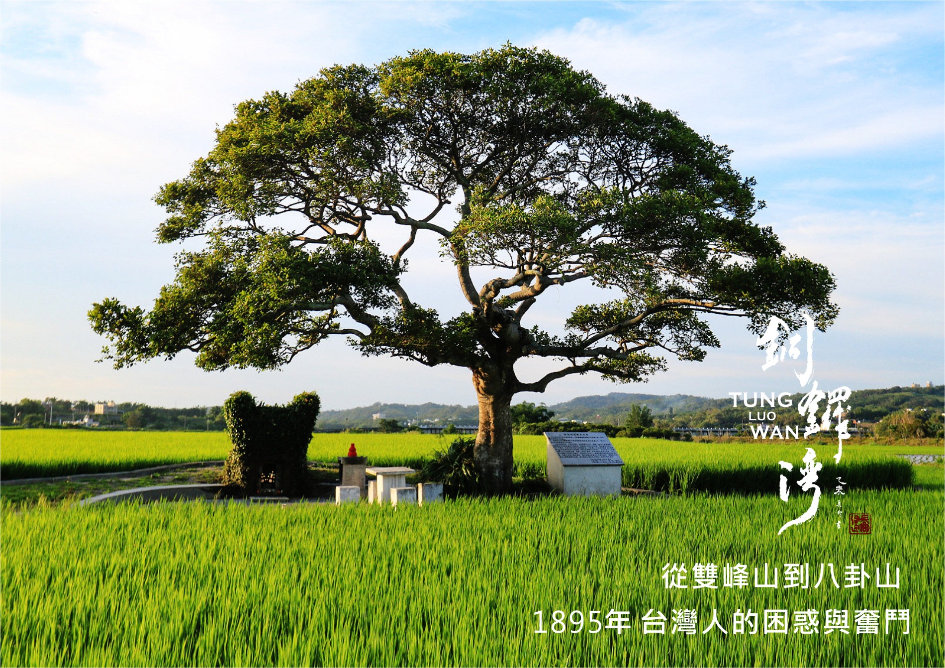 圖 銅鑼灣 拍攝 賴世若 