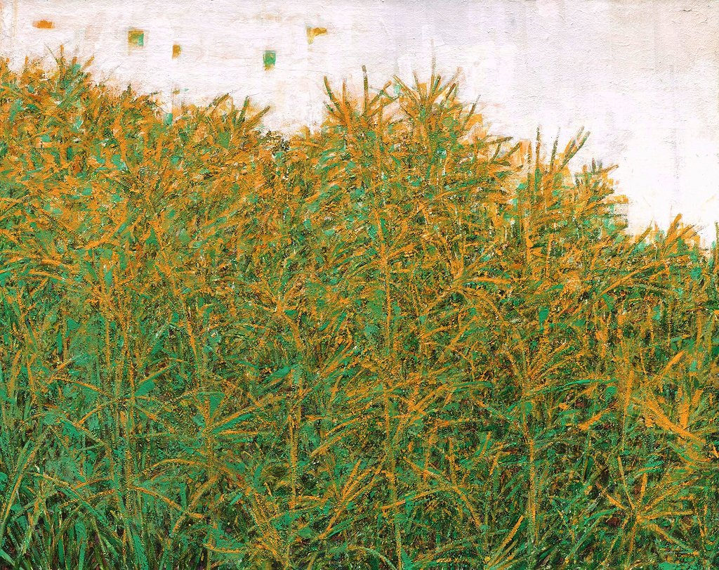 24.青木 叢綠二十二-豐饒之光 72.5X91.0cm 紙本膠彩，墨 2017