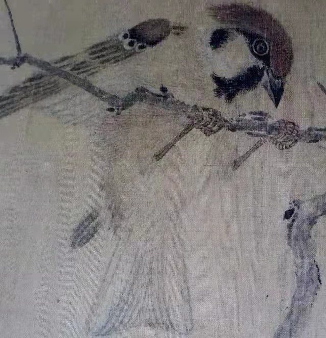 《寒雀圖圖卷》局部