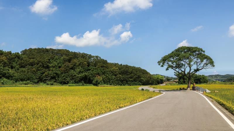 圖 花東美麗景點 -伯朗大道 翻拍自網路 及轉載 交通部觀光局花東縱谷國家風景區