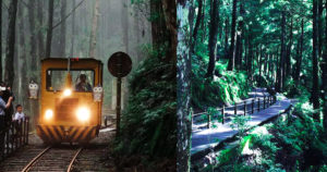 圖  宜蘭美麗景點 -太平山國家森林遊樂區   翻拍自網路 及 交通部網站