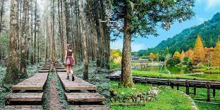 圖  宜蘭美麗景點 -明池森林遊樂區  翻拍自網路 及 交通部網站