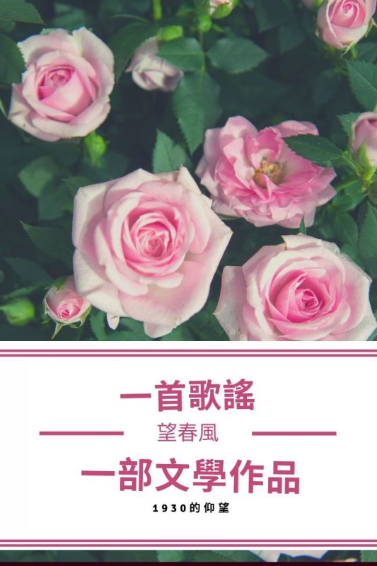 這些年 我所經歷的歌謠心內事