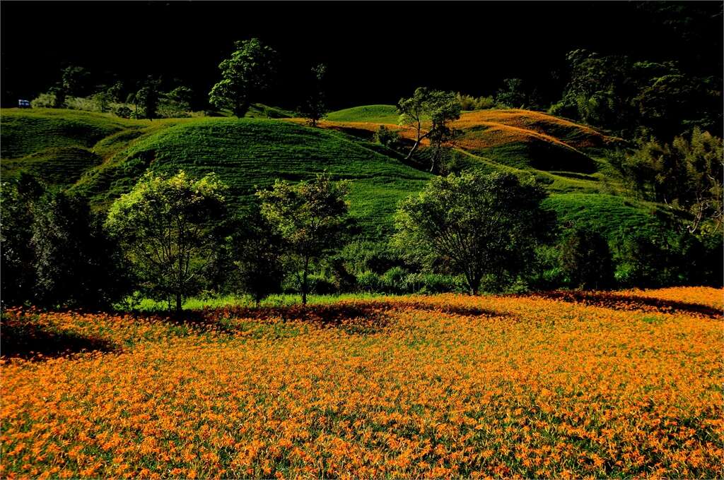 圖 赤科山  翻拍自 交通部觀光局花東縱谷國家風景區
