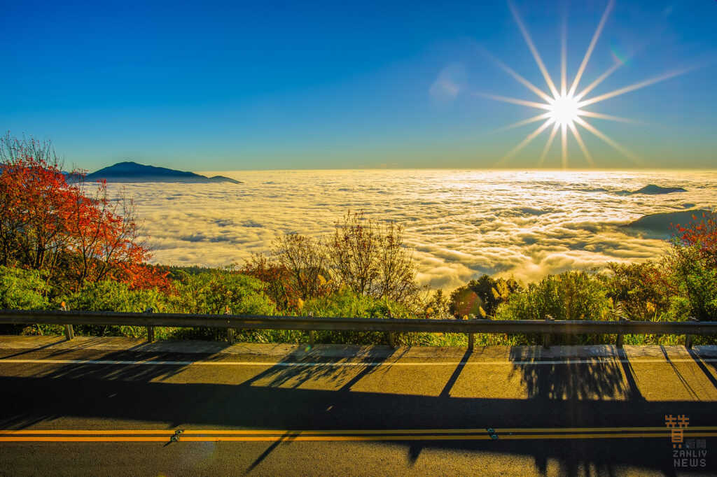 阿里山 圖翻拍自山富旅遊