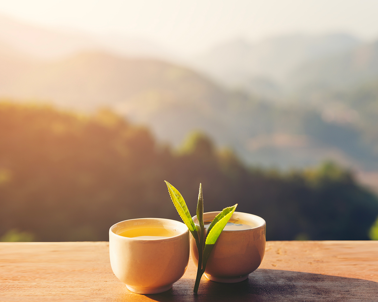 【茶妃 TEAFFEE】一株茶與多元宇宙生命交會
