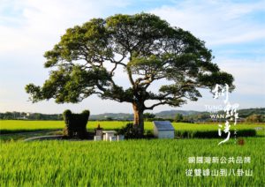 『地方創生系列』苗栗縣銅鑼鄉，打造出一個新的地方品牌了-苗栗縣銅鑼灣新公共品牌