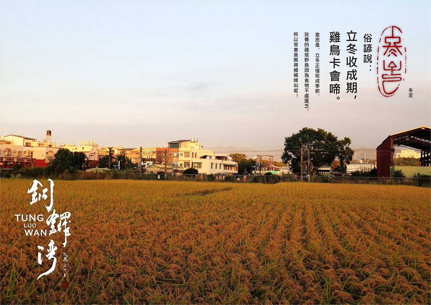 苗栗縣銅鑼灣-冬至 拍攝 賴世若 篆刻&設計 司徒長卿