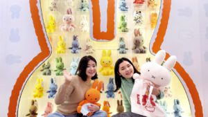 圖3. 荷蘭直送經典15色米飛娃娃牆
