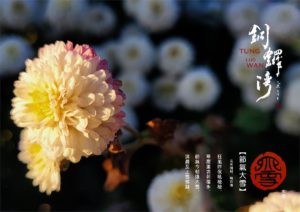 苗栗縣銅鑼灣-大雪杭菊  拍攝 賴世若  篆刻&設計 司徒長卿
