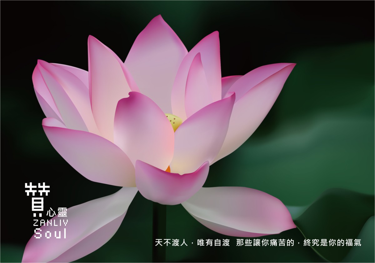 圖 贊新聞 再製設計
