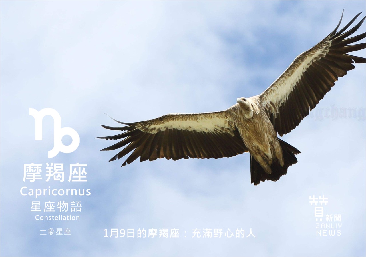 圖  1月9日的摩羯座：充滿野心的人  贊新聞再製設計
