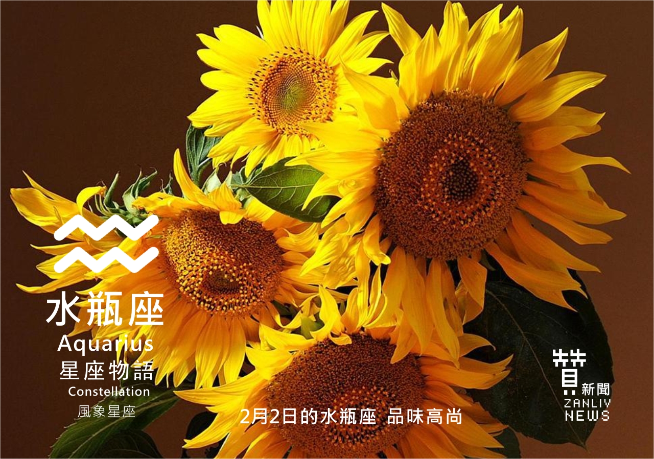 圖 2月2日的水瓶座 品味高尚 贊新聞再製設計