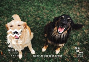 圖 2月9日的水瓶座 活力充沛 贊新聞 再製設計