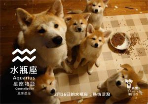 圖 『星座物語』2月16日的水瓶座：熱情活潑  贊新聞再製設計