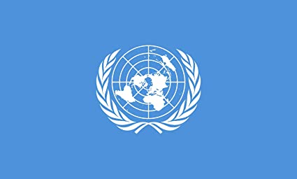 聯合國國際