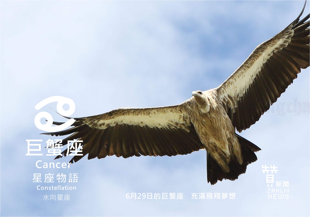 圖 6月29日的巨蟹座:充滿飛翔夢想 贊新聞設計再製