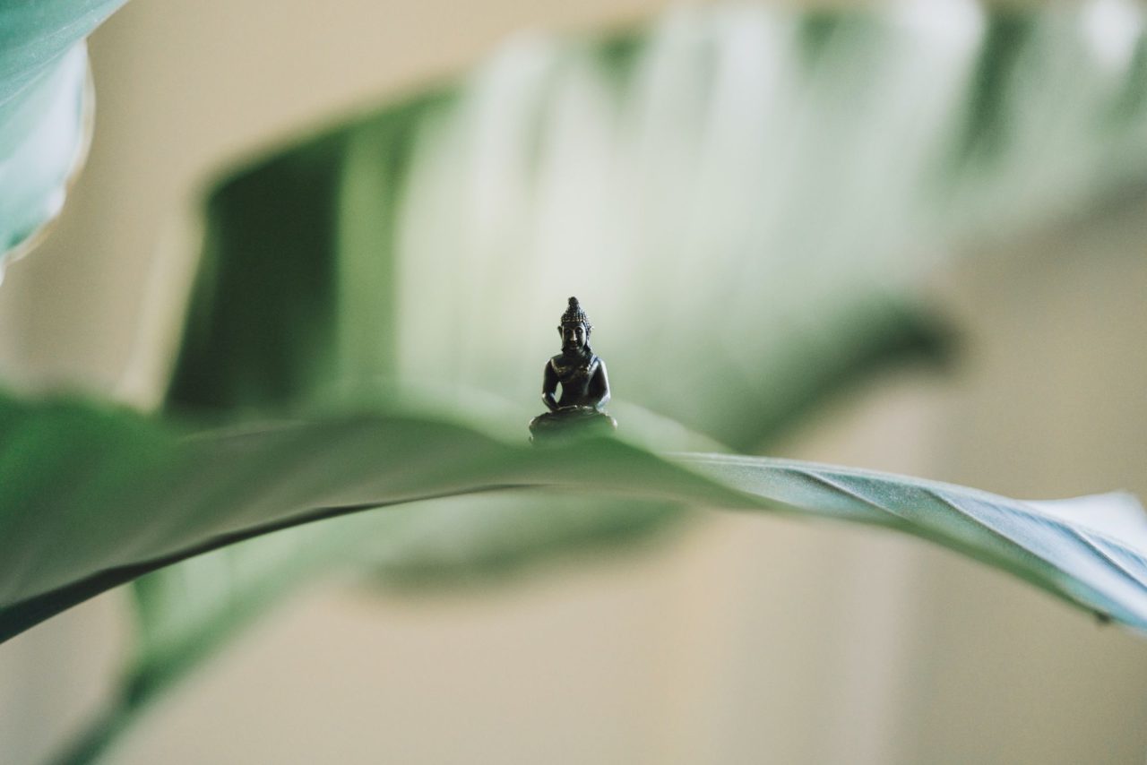 自性平衡-圖：Unsplash-