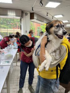 111年新店區巡迴注射