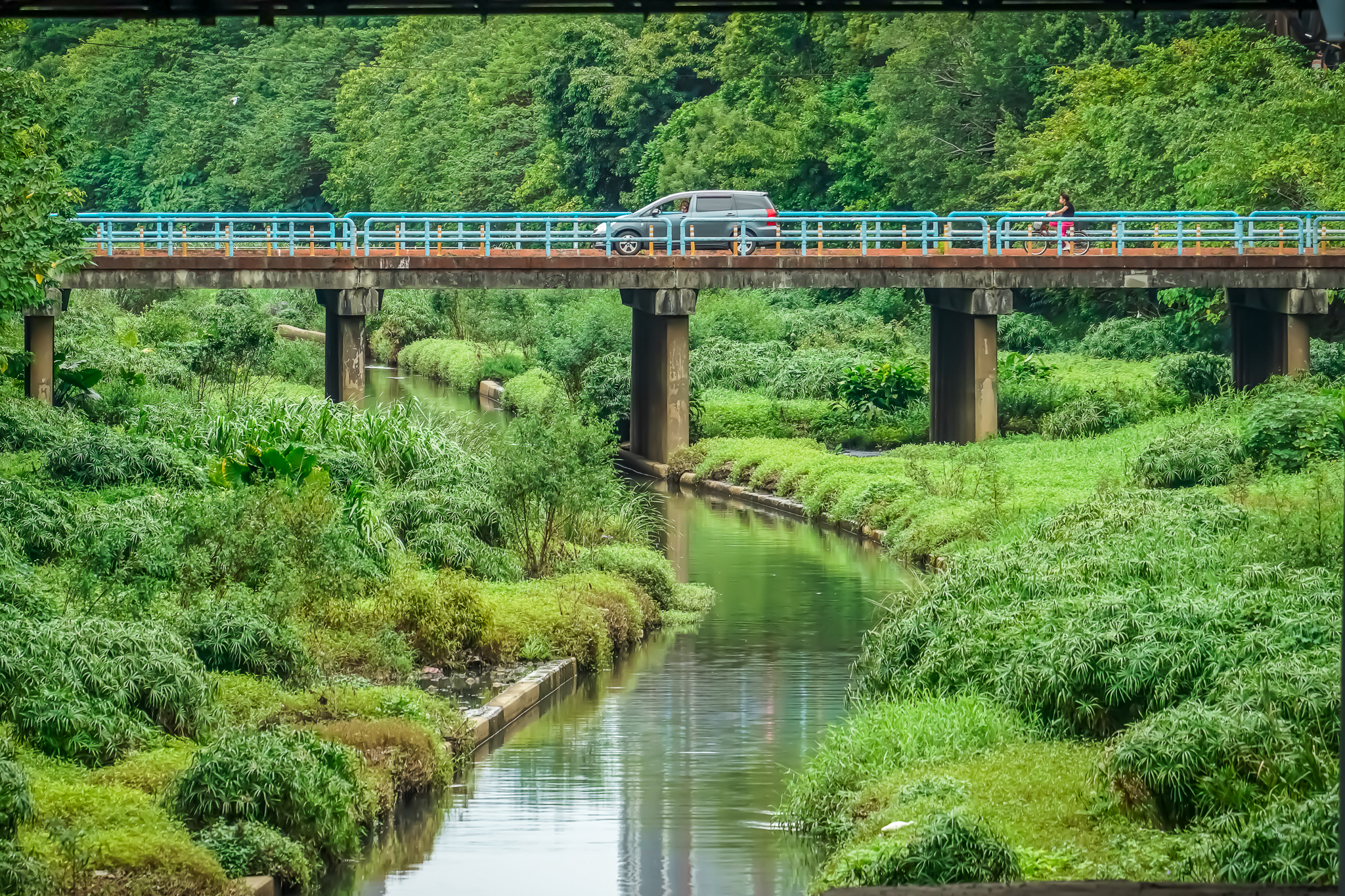 湳仔溝流域的居住環境品質提升，附近的居民有事沒事都可以來這邊，利用這一條生態廊道悠閒地散步、騎腳踏車 圖片來源：新北市政府水利局