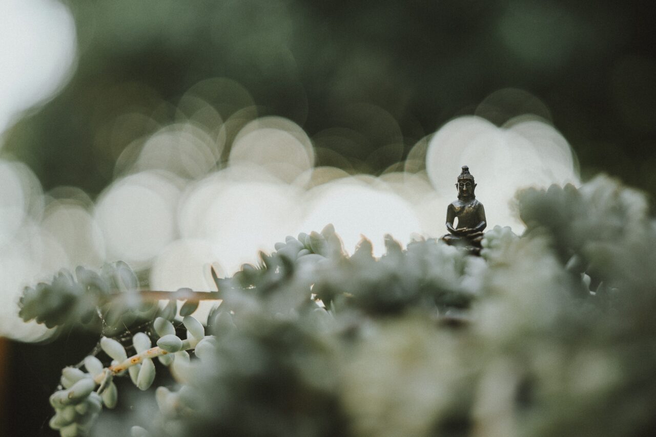 圖 Unsplash 轉念即生智慧 放下即是解脫