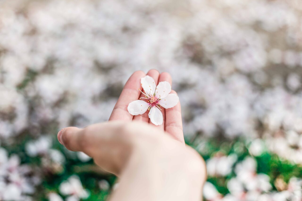 圖 /Unsplash 放下是人生智慧
