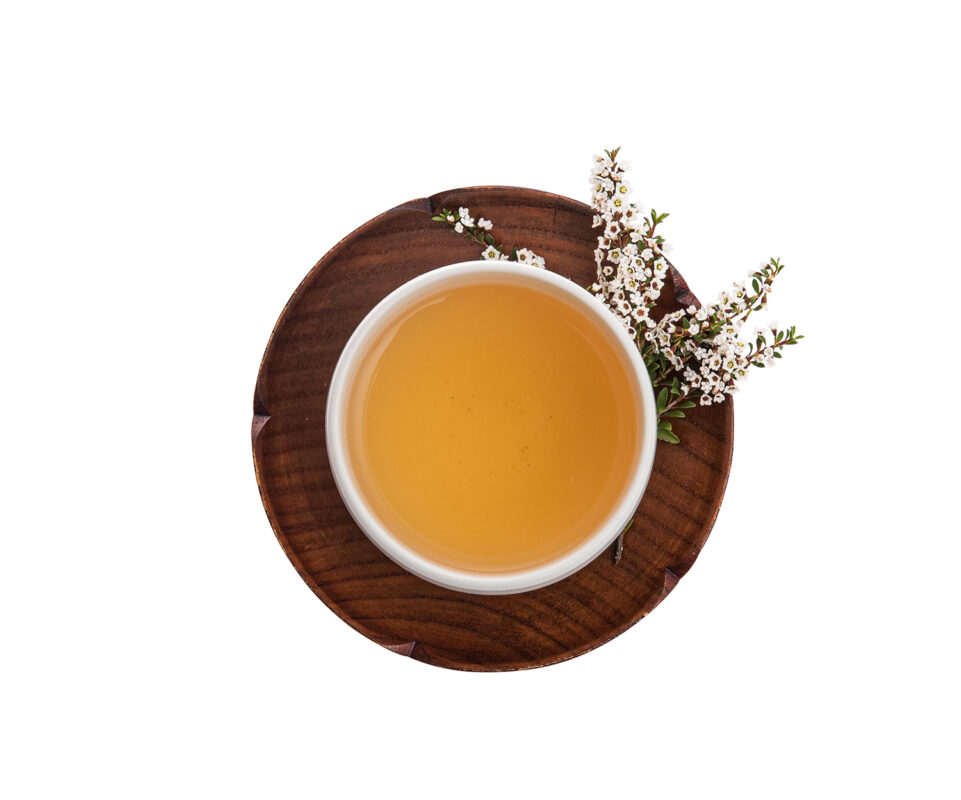 茶妃TEAFFEE野放茶有機茶葉有機天雪白茶茶湯