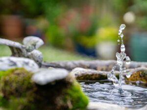 圖/ unsplash 找到生命的活水源頭 才能有源源不絕的真善美