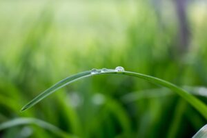 圖/ unsplash 水善利萬物而不爭 才能使萬物皆受其恩澤