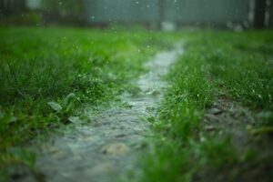 圖/ unsplash 春雨是大地的活水
