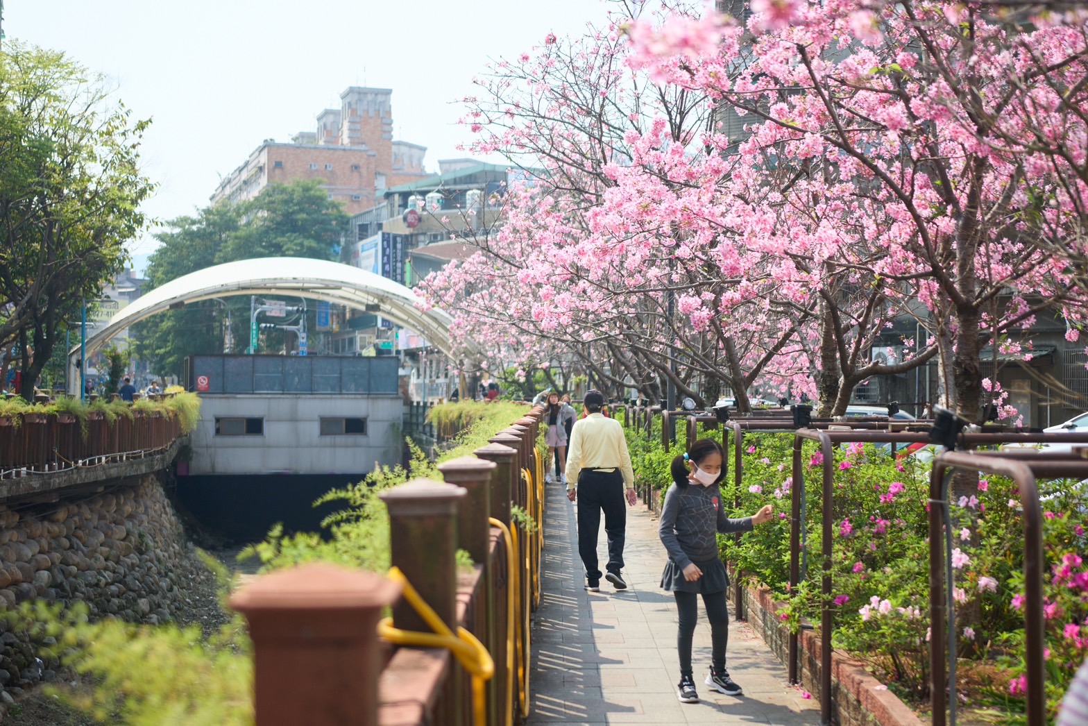 4.鳳小岳擔任家扶公益大使,呼籲幫助弱勢兒少填補學習空缺、安學安心,邀社會大眾一同響應愛心捐 - 報新聞 Mega News