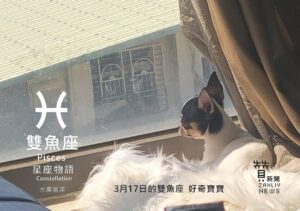 圖  3月17日的雙魚座：好奇寶寶  贊新聞再製設計