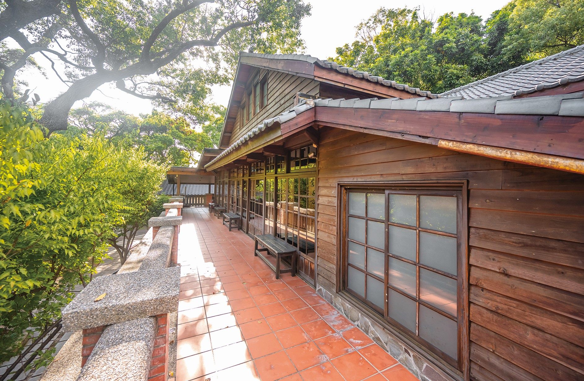 三層崎賞花順遊  自然溼地網美祕境