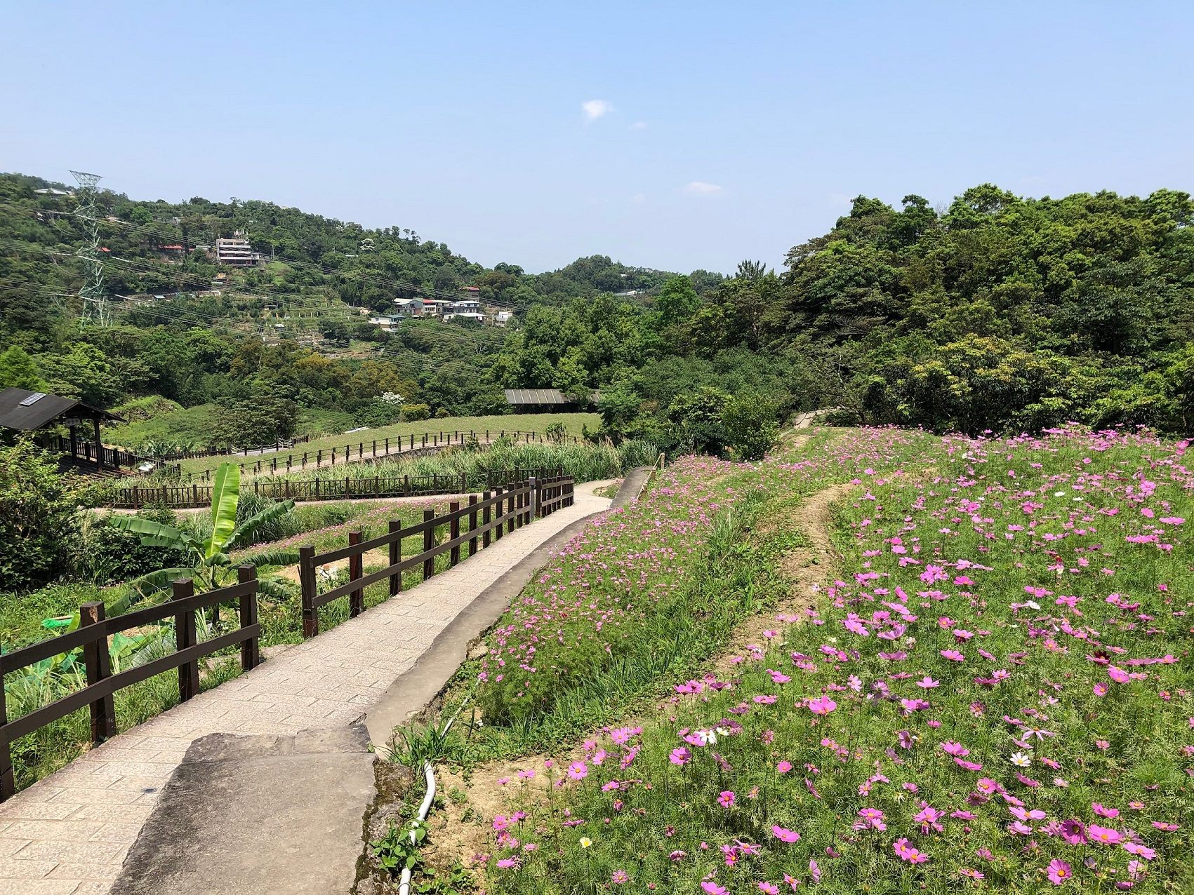 走「靜」貓空，來場城南秘境的深度探訪之旅。