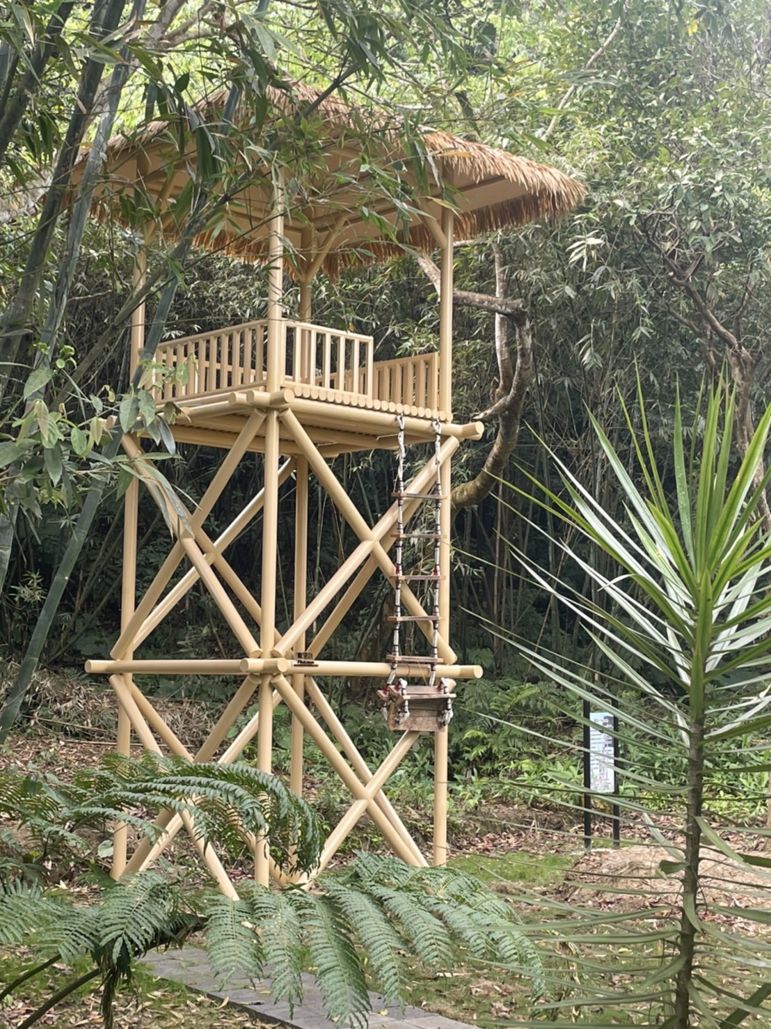 新北土城原民公園升級 重構原民文化記憶與生態遊憩