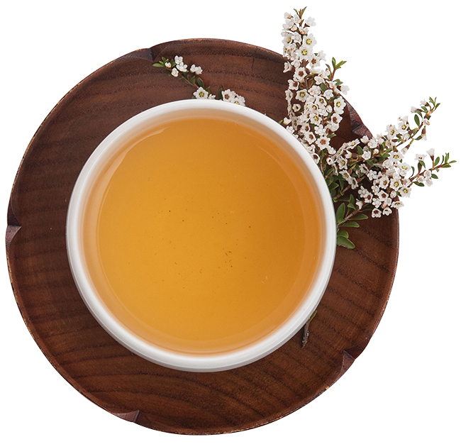 圖/茶妃TEAFFEE |有機野放天雪白茶