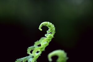 儒風雅誌-圖/ unsplash 驚蟄萬物復甦 提醒人們要珍惜生命