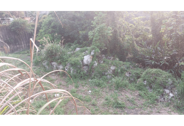 南天母森林小鎮旁 驚見工業垃圾堆積裝置藝術