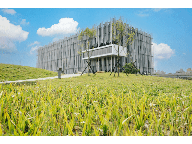 新美館「太陽餐桌」 週末邀您來野餐