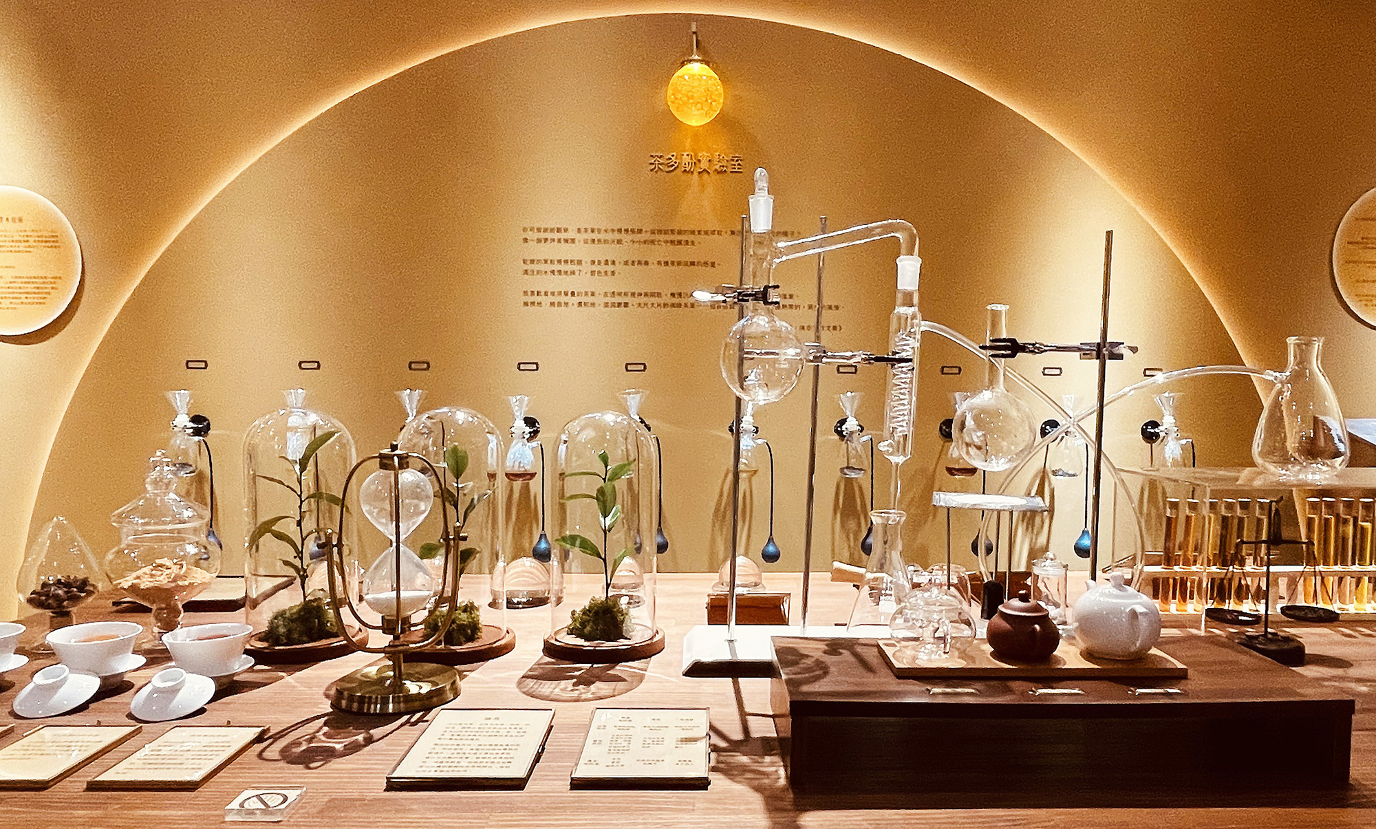 茶山裡的療癒秘境！ 周末限定的春日市集！