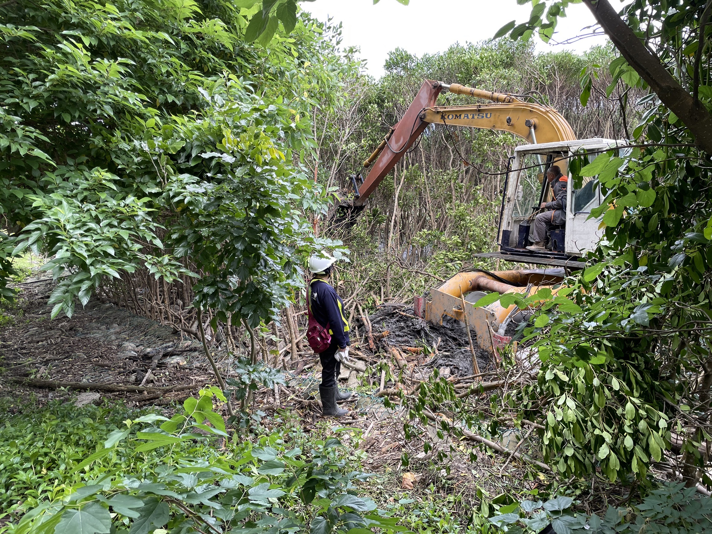 新北伐除1.05公頃面積之紅樹林 機具疑未裝設倒車或旋轉之警示燈及蜂鳴器
