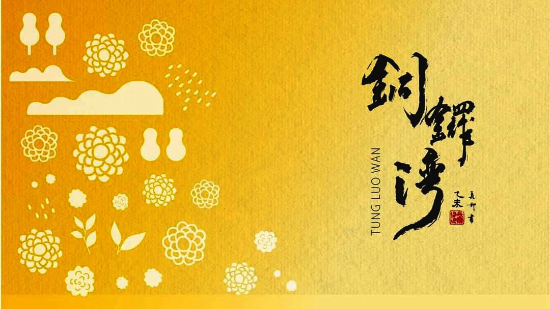 圖 『人物故事』半百回鄉由工業轉為杭菊達人的-傅肇銘 轉來銅鑼灣提供